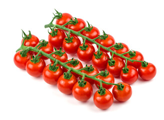 tomatoes on a white background!