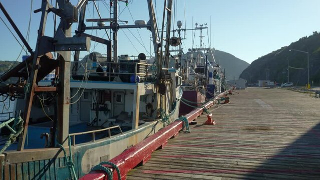 A row of commercial fishing trawlers tied up in St. John's Harbour