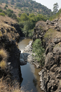 Stream and pond Meshushim in Israel