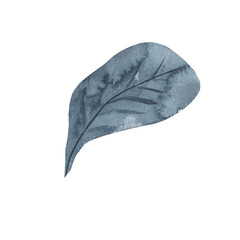 Watercolor winter leaves. It's perfect for cards, patterns, flowers compositions, frames, wedding cards and invitations.