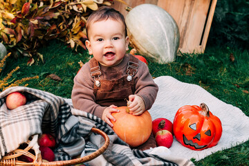 Cute small baby boy sitting near pumpkins and apples on sunny autumn day in garden. Kid trick or treating on Halloween. Family time at Thanksgiving and Halloween. Festive season in October. 