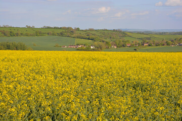 Rural summer landscape over farm fields, Somerset, UK