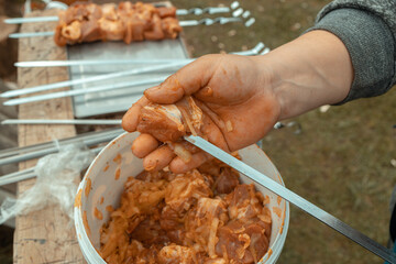 shish kebab is strung on a skewer