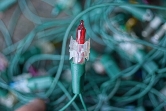 one small red glass bulb on a green electric wire of a New Year's garland