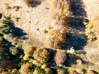 Aerial Autumn panorama of Vitosha Mountain, Bulgaria
