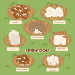 Collection of different edible mushrooms with baskets on grass