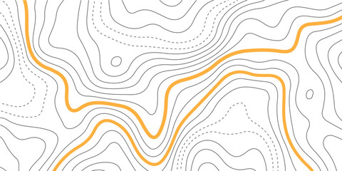 The stylized colorful wavy abstract topographic map contour, lines Pattern background. Topographic map and landscape terrain texture grid. Wavy banner and color geometric form. Vector illustration.