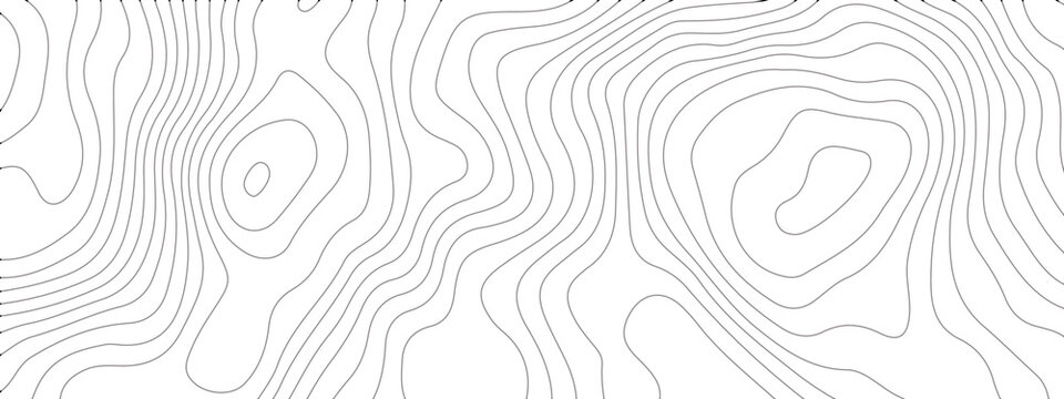 Black and white wave abstract topographic map contour, lines Pattern background. Topographic map and landscape terrain texture grid. Wavy banner and color geometric form. Vector illustration. © Ahmad Araf