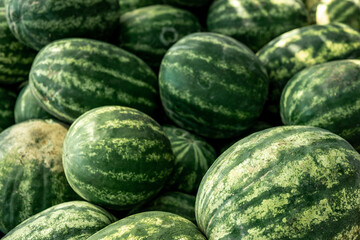 Watermelons and melons on the market