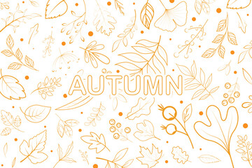 Outline Autumn leaves background. Fall leaf line art patterned vector.