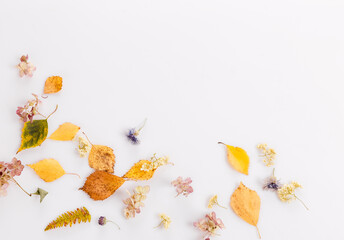Autumn composition. Frame made of autumn dry leaves, dry flowers on white background. Flat lay, top...