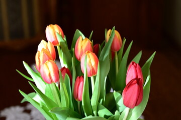 fresh tulips in a vase , nature, tulipany, kwiaty, kwiaty w wazonie, Poland - obrazy, fototapety, plakaty