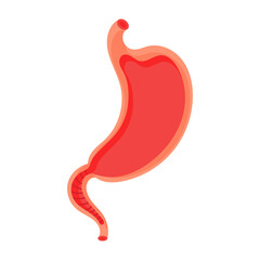 Empty stomach. Heaviness of stomach, bloating, pain in the alimentary tract and acid heartburn. Duodenal problems and human organ health cartoon digestion system vector illustration.