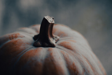 Pumpkin background. Autumn background with pumpkin on a rainy day, toned image, selective focus, copy space