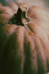 Pumpkin background. Autumn background with pumpkin on a rainy day, toned image, selective focus, copy space