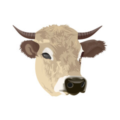 Bull cow head with horns animal
