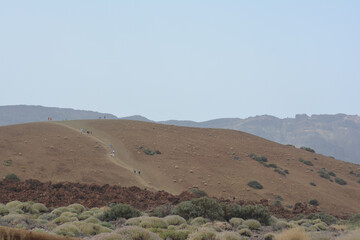 landscape in the desert - El Teide, Tenerife