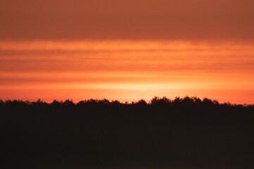 Fototapeta na wymiar sunrise over the forest