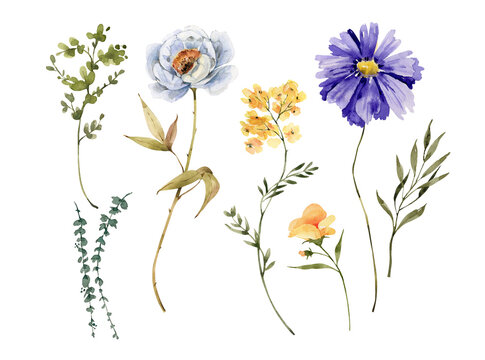 Set of watercolor illustrations of colorful flowers and plants on a white background.