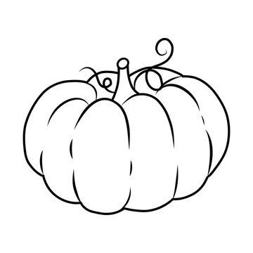 recommend clip art: pumpkin drawing suitable for coloring book. outline pumpkins sketch, gourds different types, shapes and sizes. Vector isolated illustration for halloween, thanksgiving day