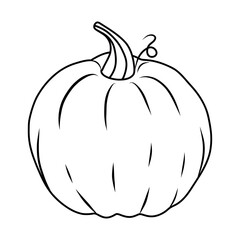 pumpkin drawing suitable for coloring book. outline pumpkins sketch, gourds different types, shapes and sizes. Vector isolated illustration for halloween, thanksgiving day