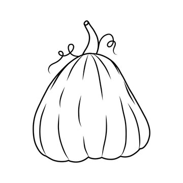 recommend clip art: pumpkin drawing suitable for coloring book. outline pumpkins sketch, gourds different types, shapes and sizes. Vector isolated illustration for halloween, thanksgiving day