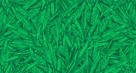 Naklejka na ściany i meble Green Leaf Cannabis marijuana ganja weed Background