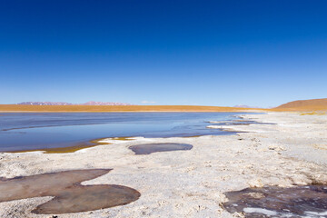 Bolivian lagoon view,Bolivia