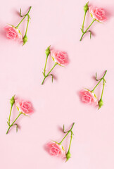 Pink roses on the pink  background. Pattern. Top view. Location vertical.
