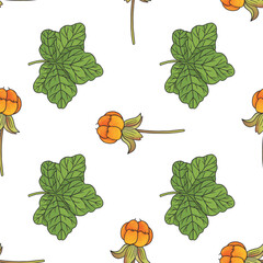 vector graphic seamles pattern with rubus chamaemorus