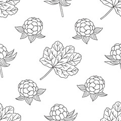 vector graphic seamles pattern with rubus chamaemorus
