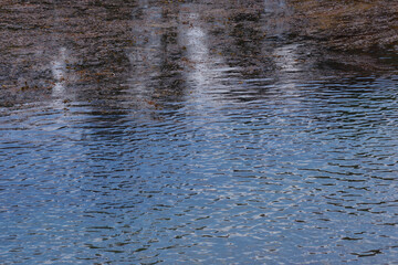 Still water between the rocks of the California pacific ocean coast at Point Lobos