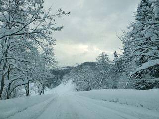 Obraz premium 一面雪に覆われた山道