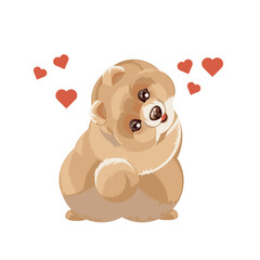 Pomeranian dog isolated on white background vector illustration