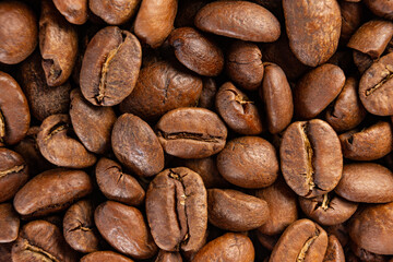 Coffee beans detailed on the background, aromatic coffee beans, place for inscription.