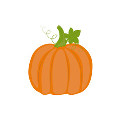 Cute cartoon pumpkin, Halloween, thanksgiving symbol, decoration element. Vector illustration