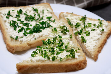 Sandwiches with microgreens on a plate. The concept of healthy eating. Diet fitness toast with soft cheese. Delicious appetizer, breakfast or snack.