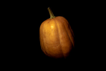 Ripe orange pumpkin in the dark. Orange pumpkin in a dark room