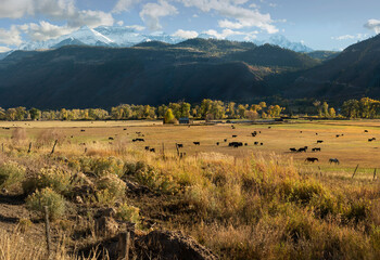 Colorado Pasture in Autumn