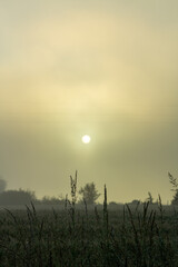 Sunrise fog © William