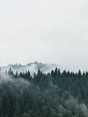 Fotobehang Mistig bos mist in de bergen