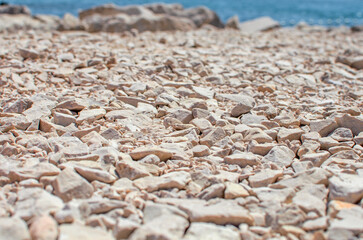 Close-up of rocks on a sea beach