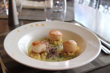 St Jacques poêlées, écrasé de rattes du Touquet et crème de petits pois
