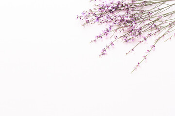 Flowers composition. Pink flowers on pink background. Easter, spring concept. Greeting card.