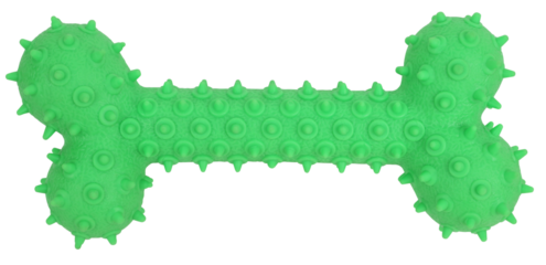 Spiny green dog bone pet toy good for teeth isolated on white background. Pet playing concept