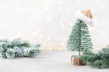 Christmas background with christmas trees, front view with copy space.