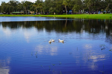 Lake zephyr in Zephyrhills town of Florida. Zephyrhills is a city in Pasco County, Florida, United States.