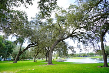 Obraz premium Lake zephyr in Zephyrhills town of Florida. Zephyrhills is a city in Pasco County, Florida, United States.
