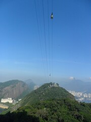 Rio de Janeiro, bodinho visto de baixo durante uma escalada ao monte P&atilde;o de A&ccedil;ucar.