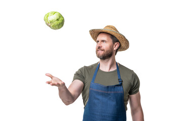 horticulturist in apron and hat with cabbage vegetable isolated on white
